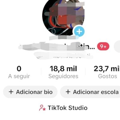 Conta 18 mil seguidores/ Monetizada