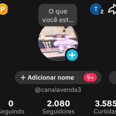 CONTA TIKTOK 2K SEGUIDORES BR 🇧🇷 PROMOVER+SITE+LIVES+TROCAR NOME ✅ SEM SHOP ❌