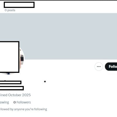 Twitter 2025 + Conta feminina + Foto de perfil e acesso ao email + Hotmail