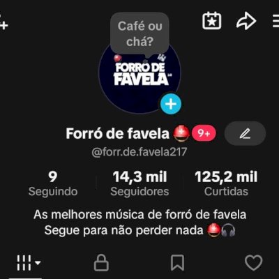 CONTA TIKTOK +14K SEGUIDORES ENGAJADA!