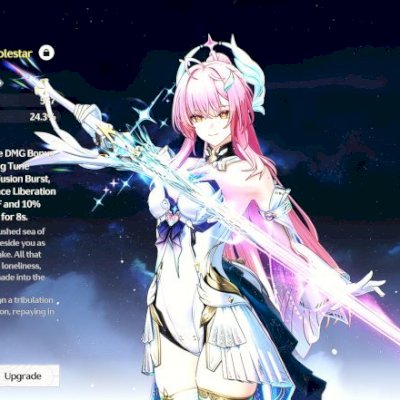 CONTA WUTHERING WAVES LVL 65