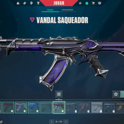 Conta valorant com 14 skins compradas e 3 passes comprados e finalizados.