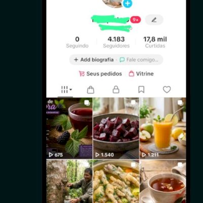 Vendo essa conta Tik Tok subindo seguidores com shop sem doc