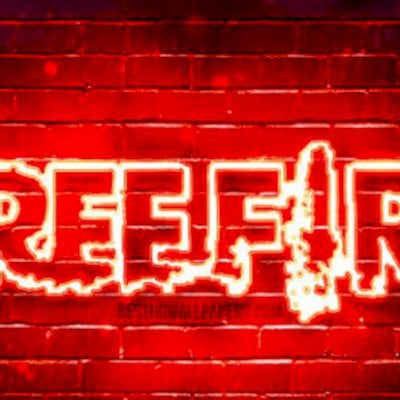 Sensi xitada para carapina!!!2023