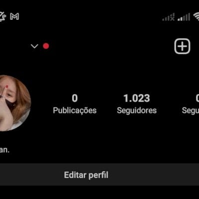 🚀 CONTA COM 1000 SEGUIDORES BARATO! 🚀 (ONLINE)