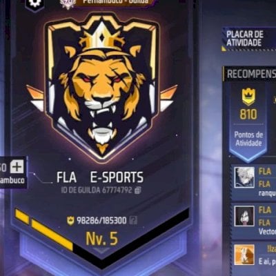 VAGA PARA GUILDA TOP REGIONAL