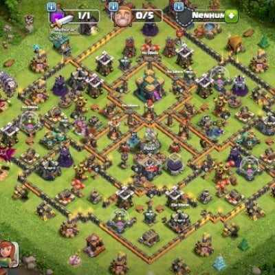 CV14 - NIVEL 100 DIVERSOS ITENS PRA USO