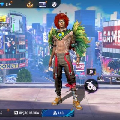 CONTA BOA FF. NVL 17 A 18 / ARARÃO BRASILEIRO  + troca nick