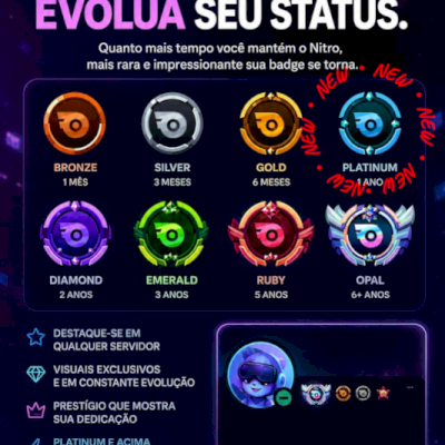 👑 CONTA DISCORD PREMIUM • INSÍGNIA PLATINA 1 ANO E MEIO • COM MUITA MOLDURA👑
