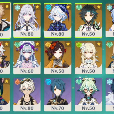 VARKA + SKIRK + FURINA + XIAO + GANYU + ITTO + CHIORI