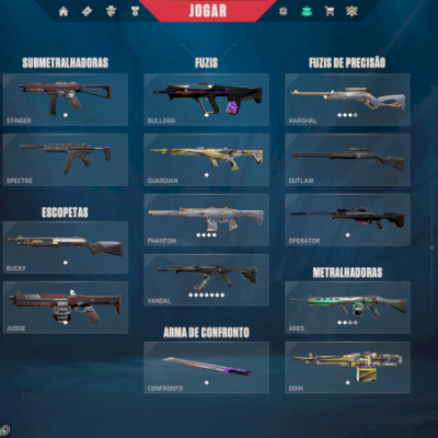 Conta Valorant - Vandal SAQUEADOR, MACACO, GUARDIÕES, etc... FULL ACESSO (FA)