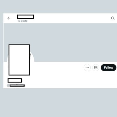 Twitter 2012 + Conta feminina + Foto de perfil e acesso ao email