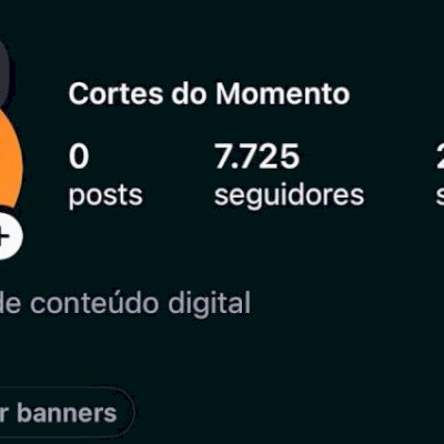 Conta com 7.7k Seguidores orgânicos