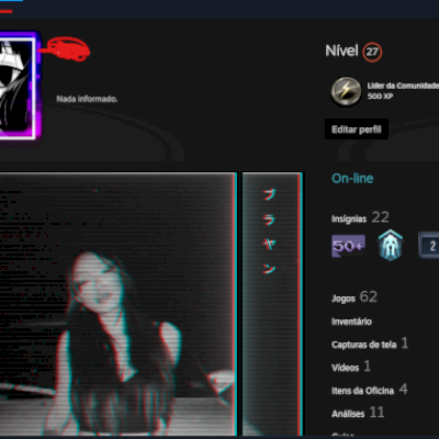 Conta Steam Full Acesso Com Cs2 Prime e Vários jogos
