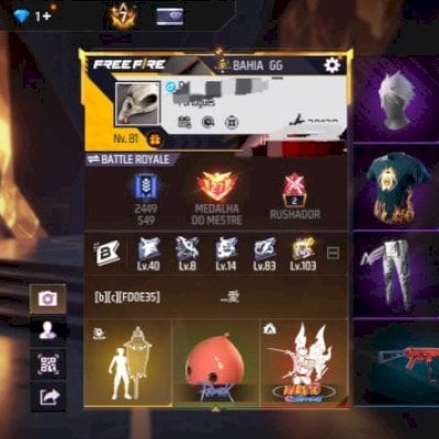 CONTA GEMADA (QUASE 1K DE PEITORAL💎)