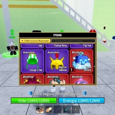 Conta de blox frut para jogar e se divertir boa e barata com itens legais