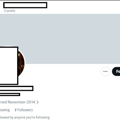 Twitter 2014 + Conta feminina + Foto de perfil e acesso ao email