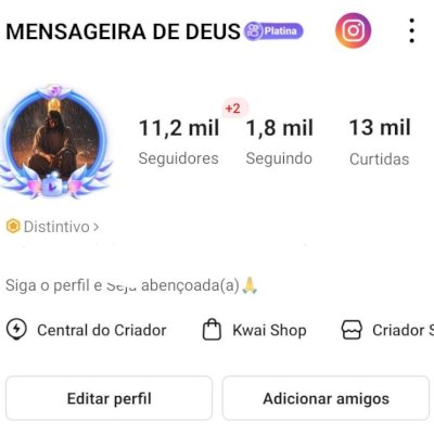 CONTA KWAI 11K SEGUIDORES E 13K DE CURTIDAS (CONTAS KWAI)