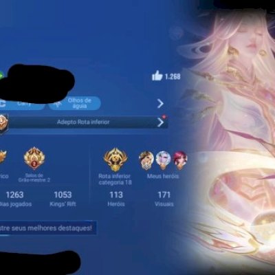 Conta HOK Main Adc, lv 123 Todos os Heróis, 172 skins 58kast 1264 dias de conta