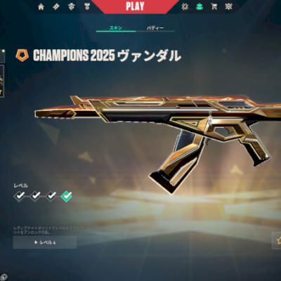 Conta com vandal champions 2025 e karambit vct 2025