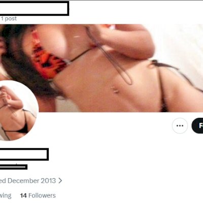 Twitter 2013 + Conta feminina + Foto de perfil e acesso ao email