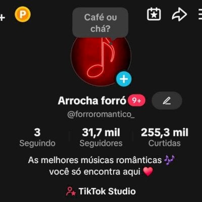 CONTA TIKTOK +31K SEGUIDORES ENGAJADA!