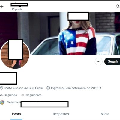 CONTA BR 2012 X Twitter + Acesso ao email + Conta segura + Seguidores reais