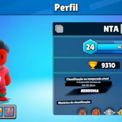 Conta De Stumble Guys