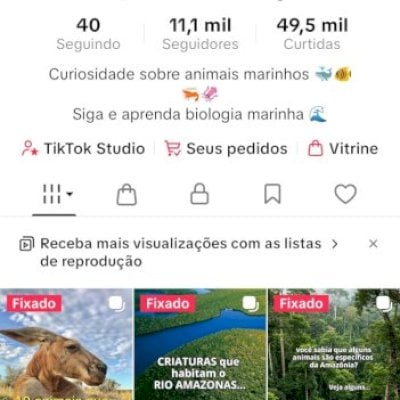 Tiktokshopbr ativo 11k seguidores 100% reais, Muito engajada  (Leia a descrição)