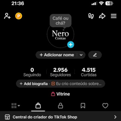 TIKTOK SHOP ATIVO - CONTA LIMPA E SEM DOC - SEGUIDORES 100% REAIS!