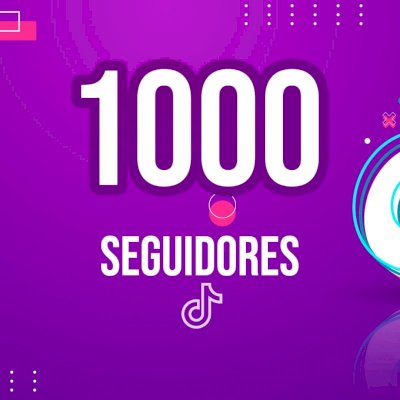 SEGUIDORES TIKTOK 1.000 (PROMOÇÃO)