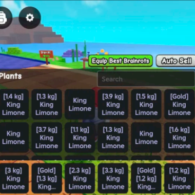 CONTA COM 258 KING LIONES