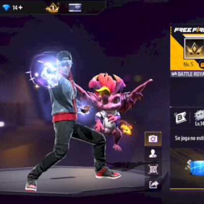 Conta free fire com punho