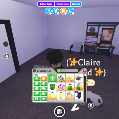 Todos os pets, veículos, caixas e roupas do meu inventário (leia a descrição)