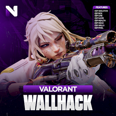 Wall Private VALORANT