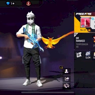 Conta lvl69 um pouco gemada