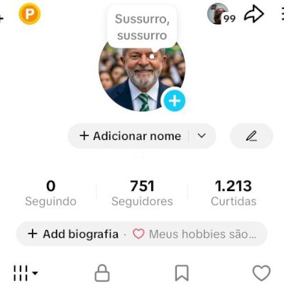 CONTA TIK TOK 751 SEG E 1,2K DE CURTIDAS (CONTAS TIK TOK)