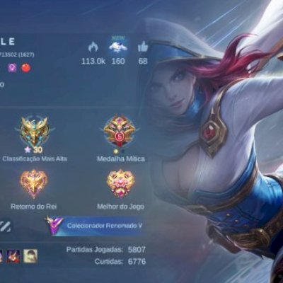 Conta 30 estrelas, Heróis: 95,  Skins: 191 mais uma Collector e Luckybox