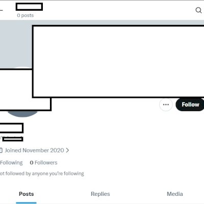 Twitter 2020 + Conta feminina + Foto de perfil e acesso ao email + Acesso total