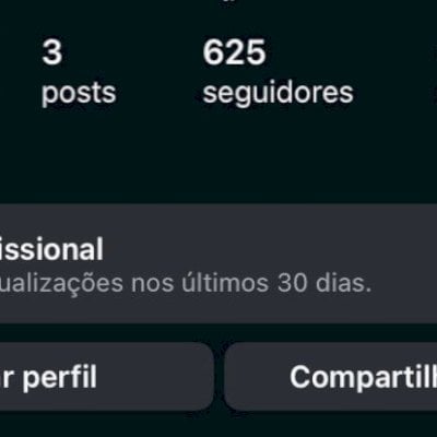 Conta Instagram 600 Seguidores Orgânicos E Reais!