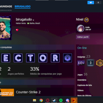 CONTA STEAM NÍVEL NVL 33