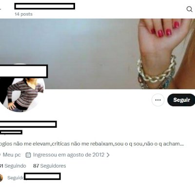 CONTA BR 2012 X Twitter + Acesso ao email + Conta segura + 80 seguidores reais