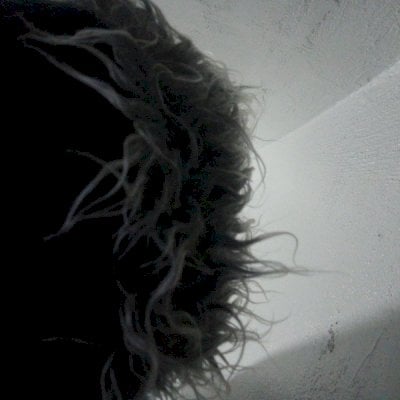 12Q DE SHECKES GROW A GARDEN MELHOR PREÇO