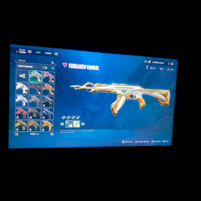 Conta valorant com skins champions