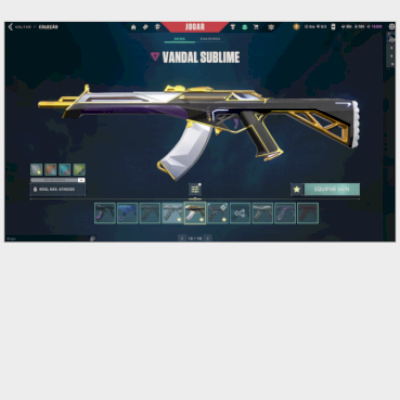 Conta asc com skins nas armas mais usadas!