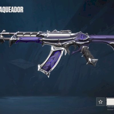 CONTA DE VALORANT COM VARIAS SKINS.