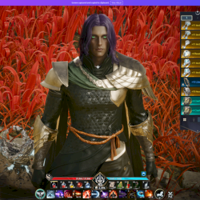 Vendo Gladiador com 2396 Item Lv + Sorcerer 1523 / Servidor Quai (Asmodian) TW