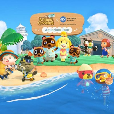 Animal Crossing New Horizons