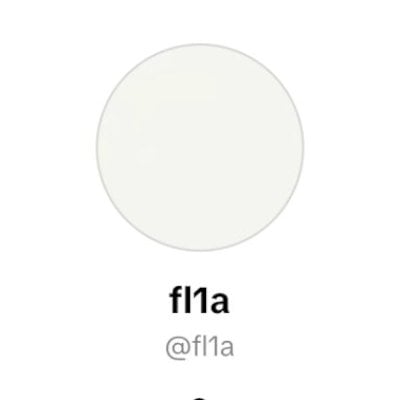 Nome de usuário raro 4 letras tiktok