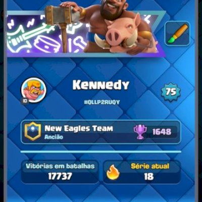 Conta top lvl 75, tudo desbloqueado e upado